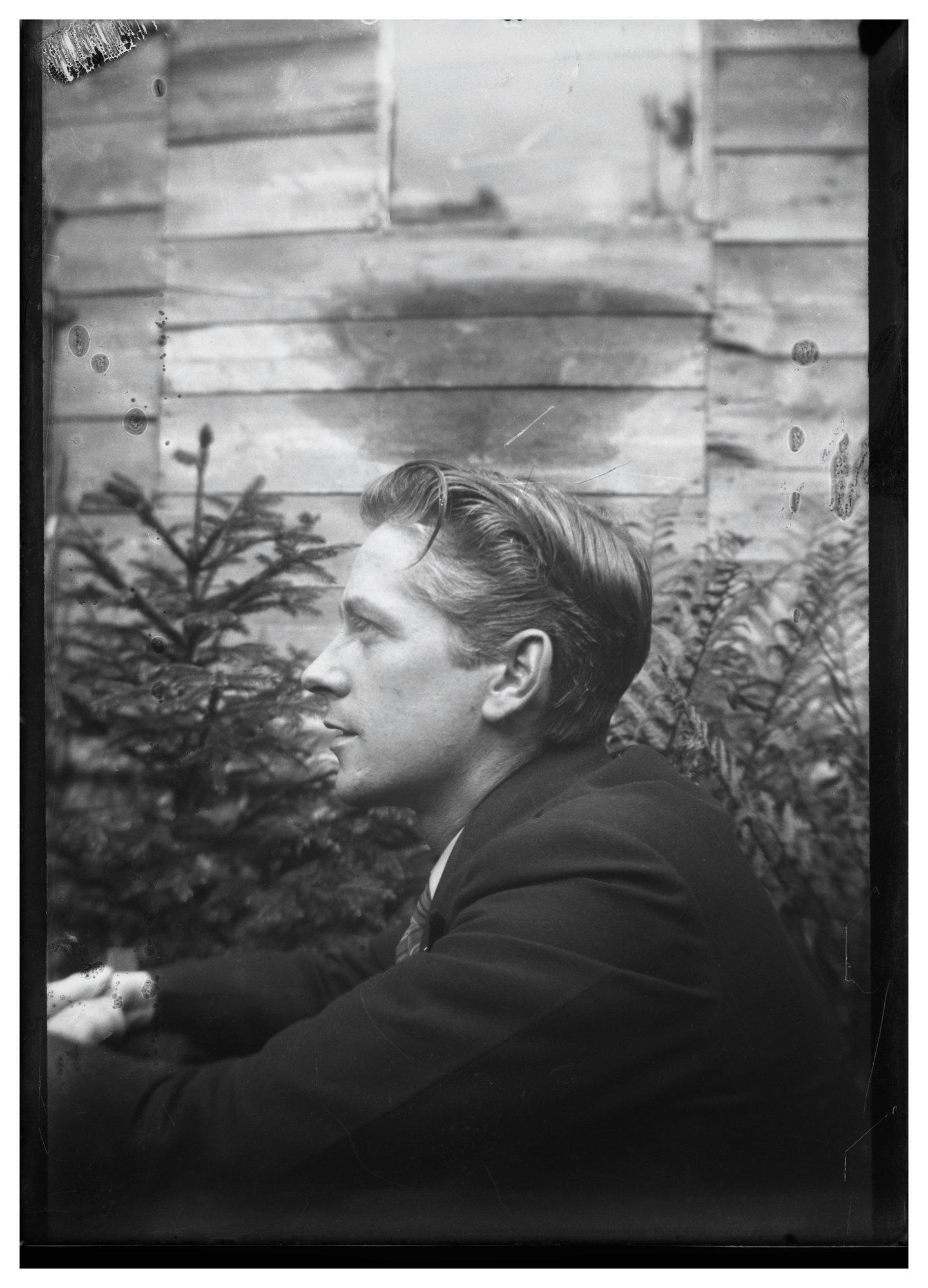 The Portraits, 04